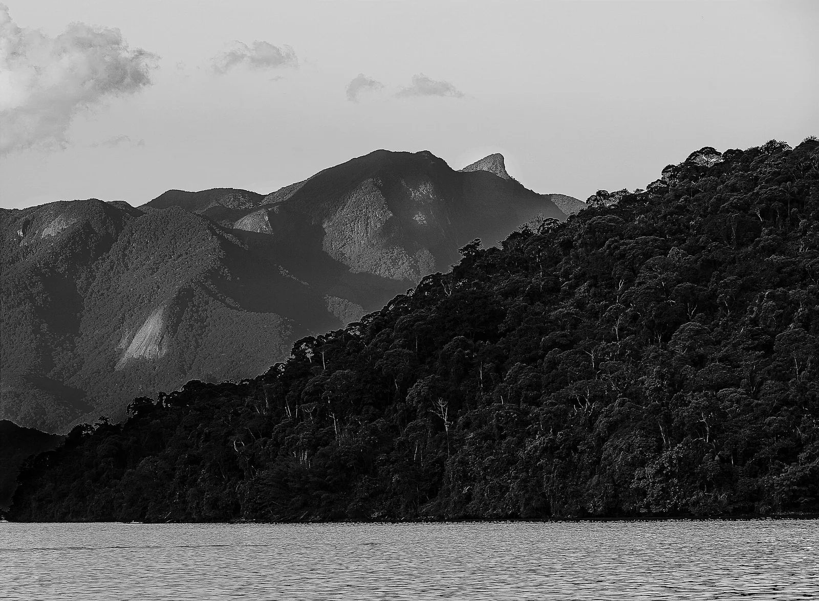 The Serra do Mar comes down to the sea for much of the route, rainforest on one side and water on the other.