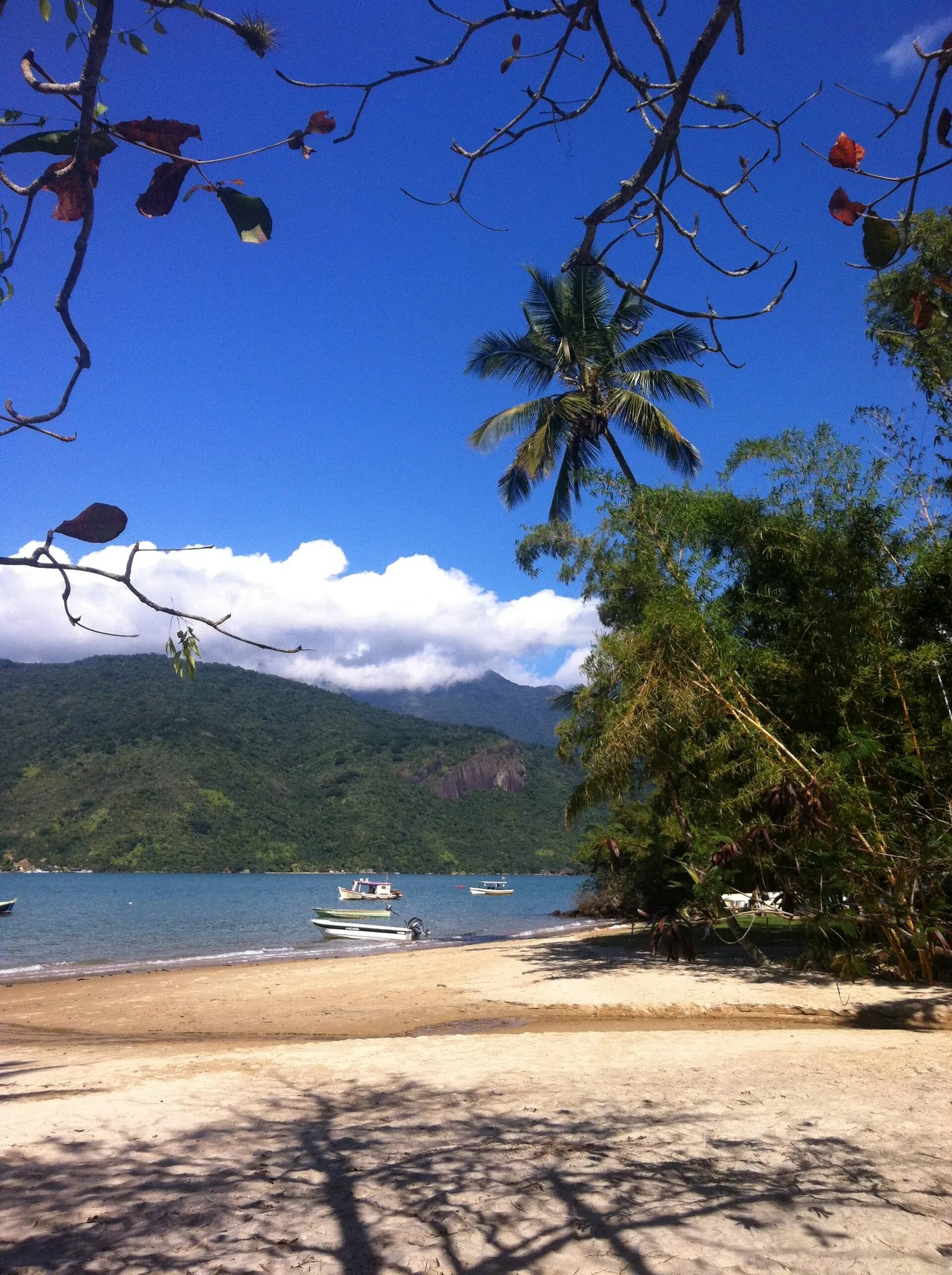 A quiet cove near the head of the fjord, the kind of spot you paddle into for a swim and lunch off the boat.