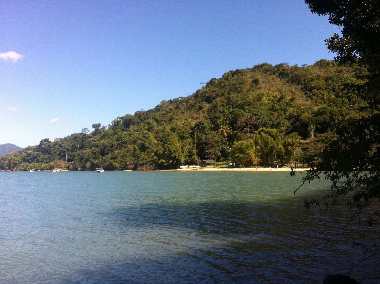 A quiet beach deep in the Saco do Mamanguá, where small caiçara communities still live by the tide and the catch.
