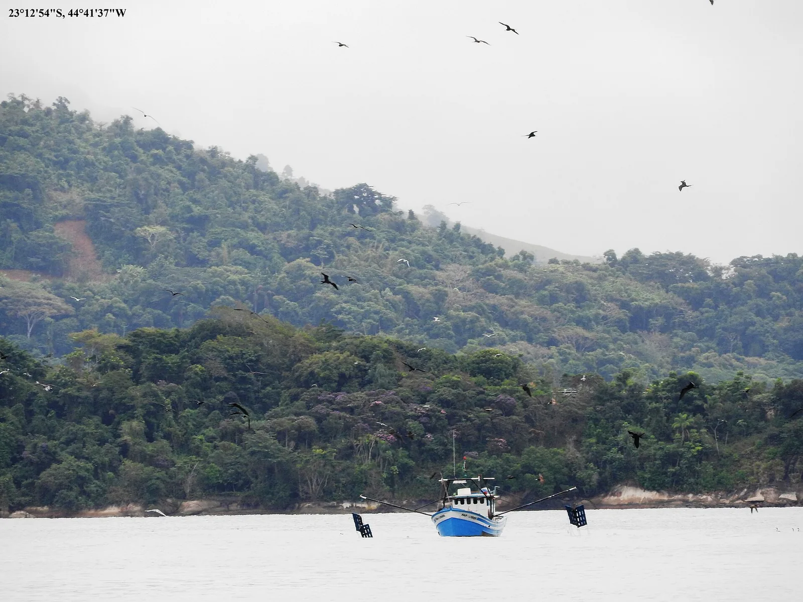 The Bay of Paraty in late afternoon, when the schooners turn gold and the islands stack into layers.