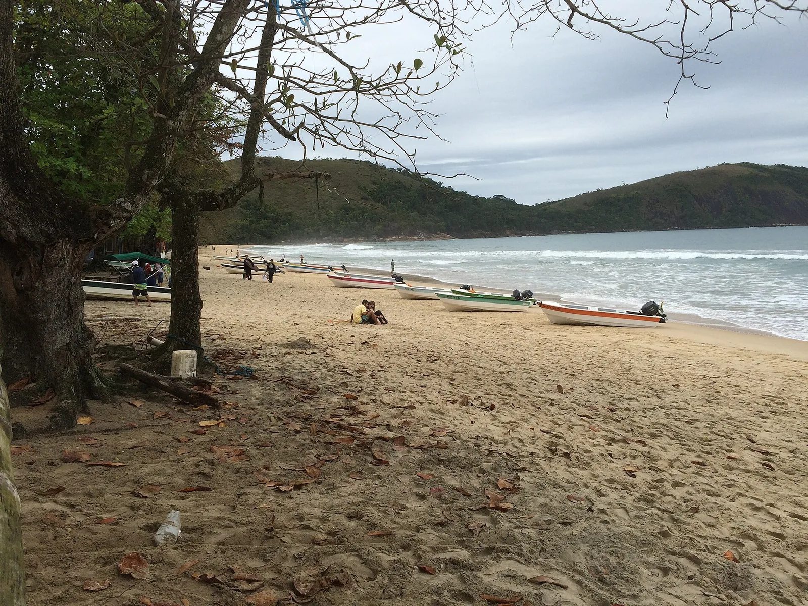 The forest trail from Vila Oratório, an hour or so through the Atlantic woodland to the sand.