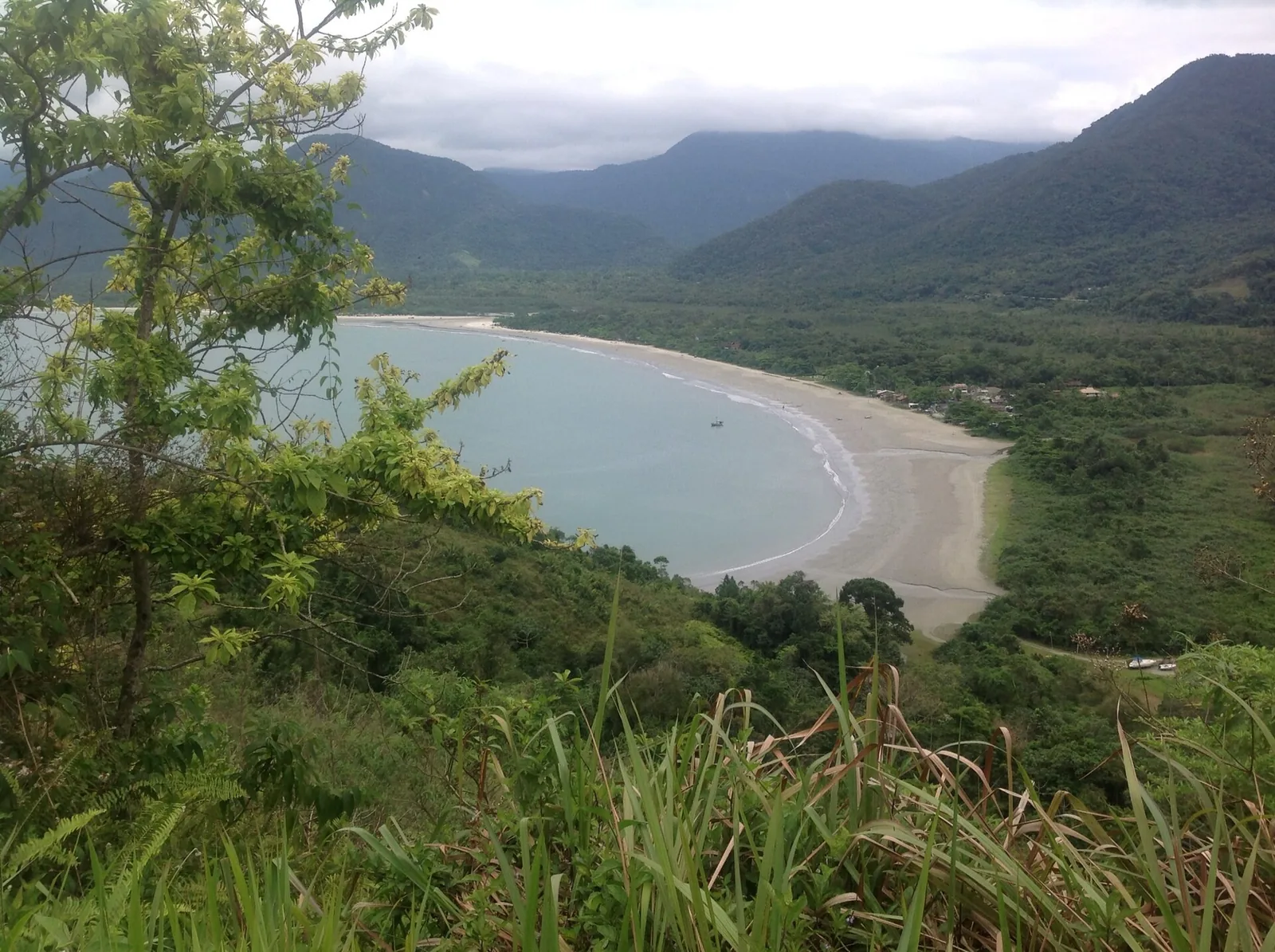 Forest meets sand along the Ubatuba coast, where the Serra do Mar drops almost to the waterline.