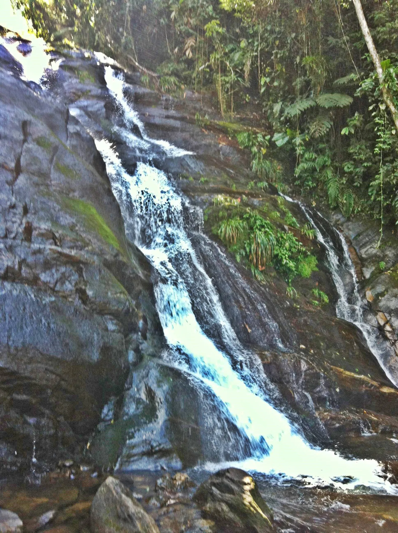 A forest river on the Costa Verde, the kind of clear-water cascade hidden along the Paraty hills.