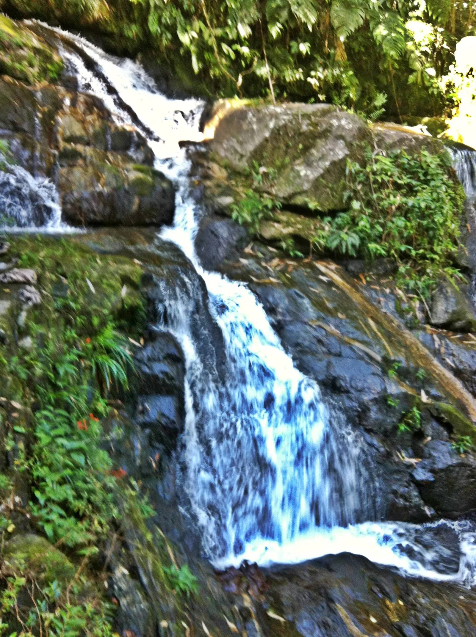 A waterfall in the Atlantic Forest behind Paraty, the centrepiece of a half-day combining the falls with the cachaça road.