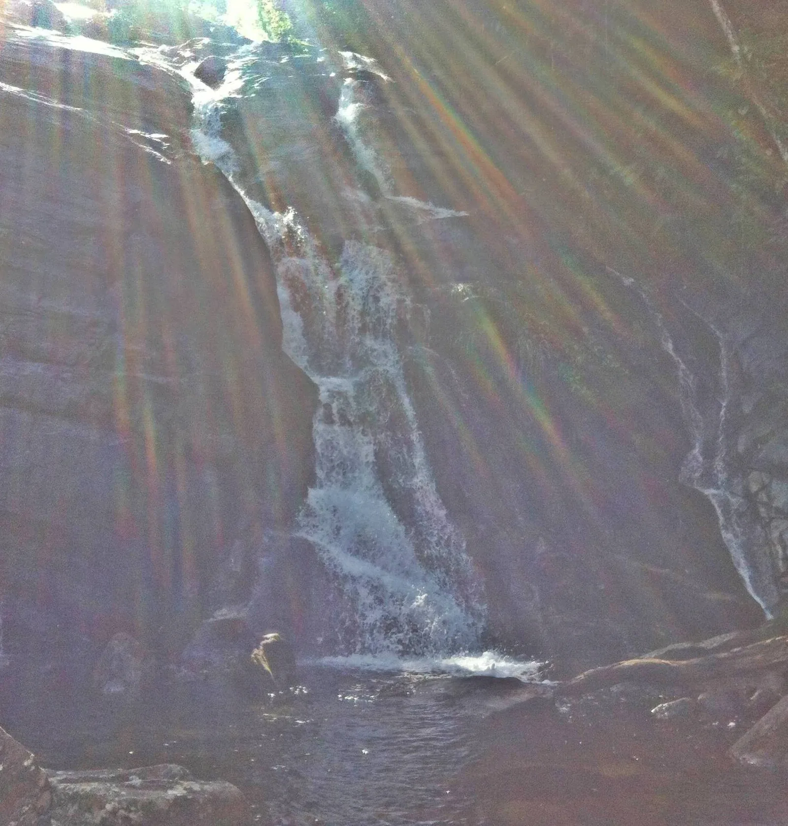 One of the falls on the Rio Taquari, in the cool forest along the Paraty–Cunha mountain road.
