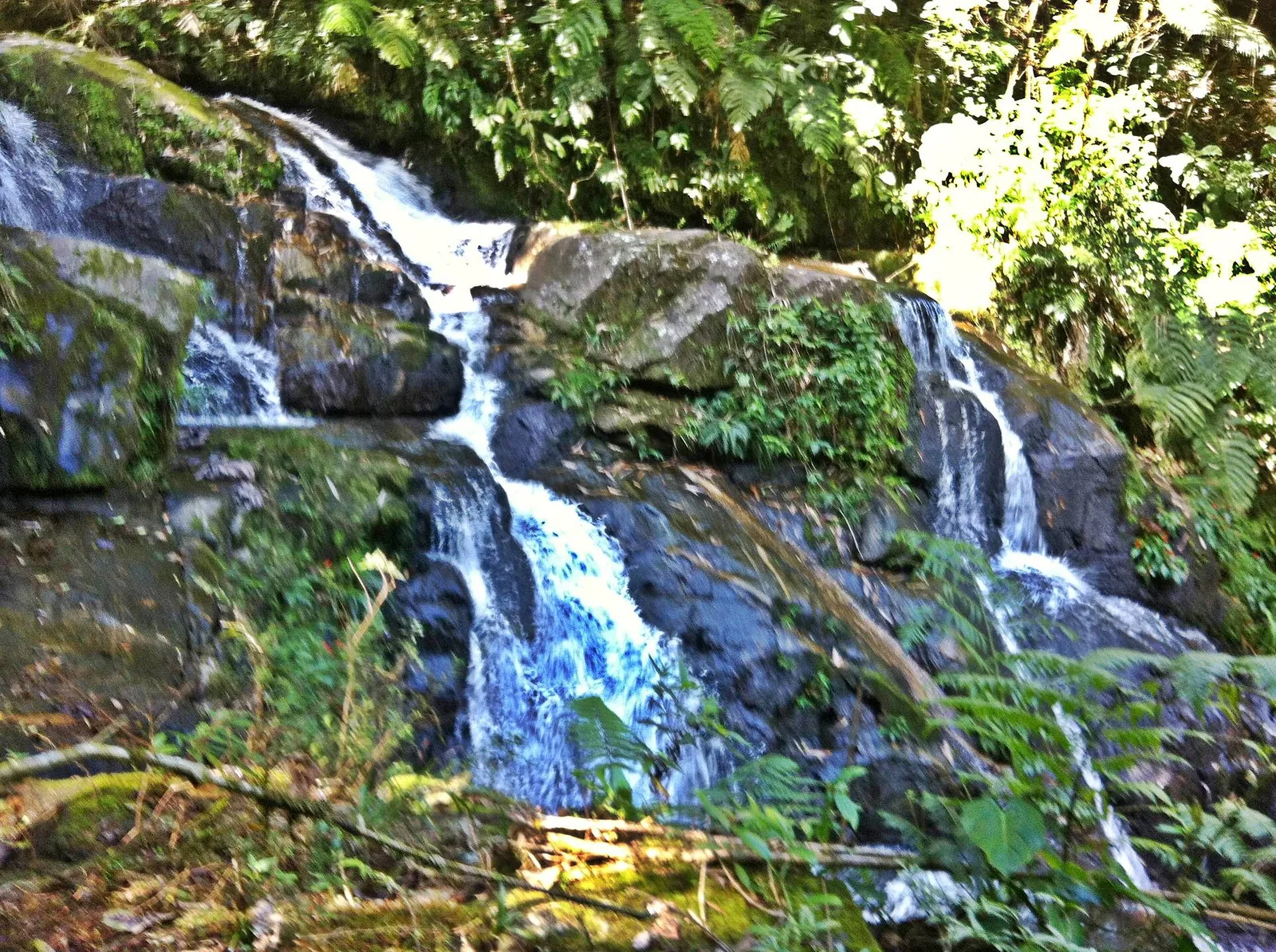 A clear pool below a cascade on the Taquari — the natural reward at the foot of a forest climb.