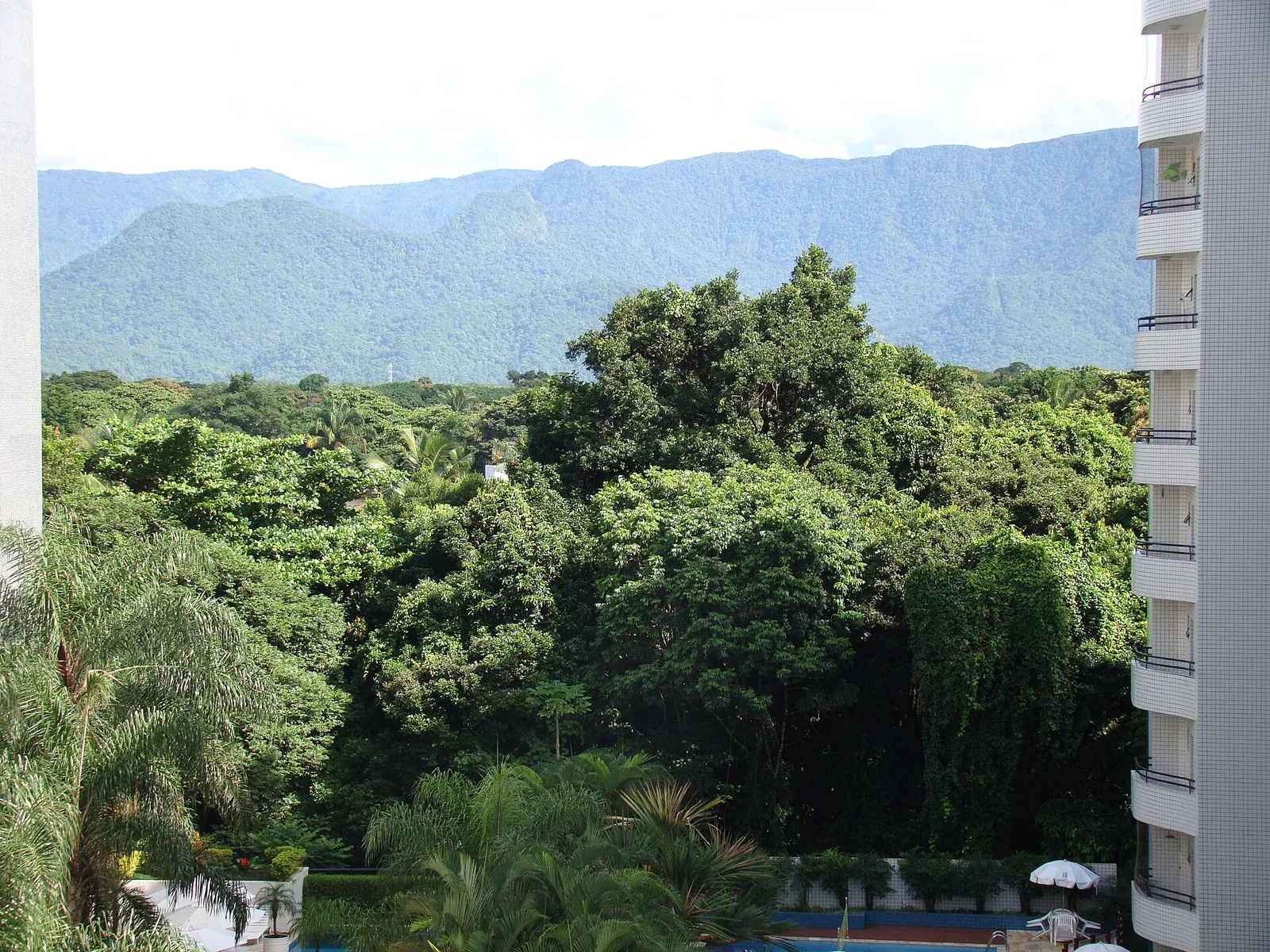Mata Atlântica cloaking the Serra do Mar — the forest-to-coast continuum that rises behind Paraty.